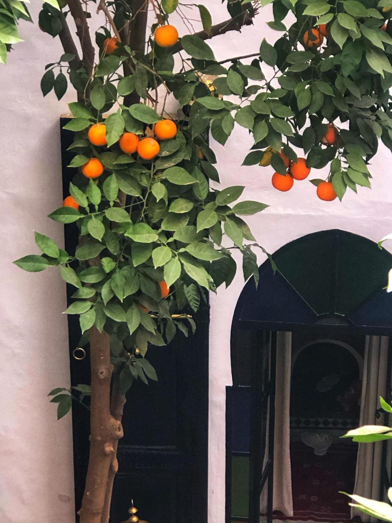 Riad Abbassia Marrakech Premiere Μαρακές Εξωτερικό φωτογραφία